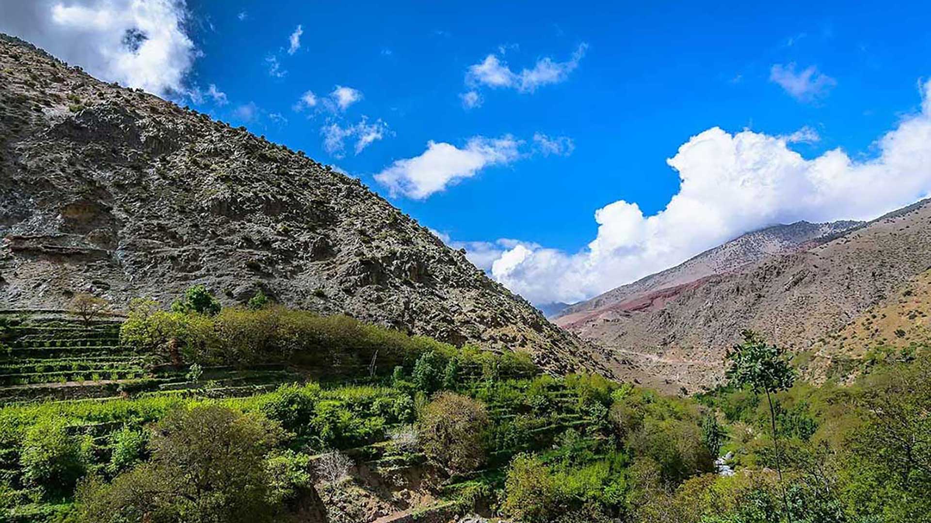 Vue panoramique de la vallée d’Azzaden avec terrasses verdoyantes, arbres et montagnes rocheuses sous un ciel bleu dans le Haut Atlas marocain