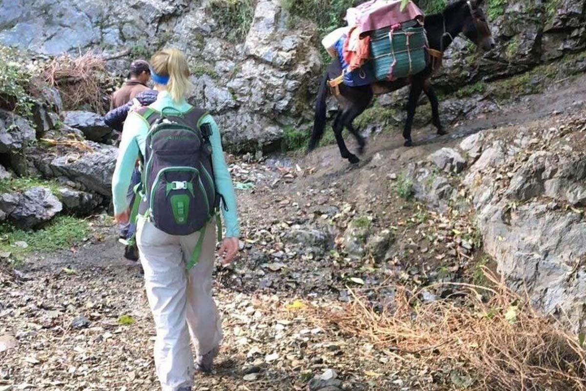 Hikers following a mule carrying luggage on a rocky trekking trail in Morocco