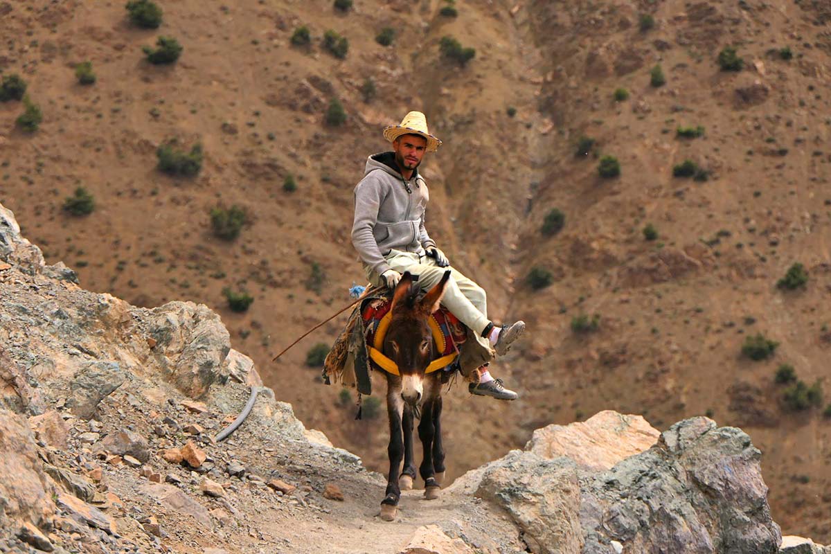 Berber muleteer with his mule on a rocky trail in Azzaden Valley