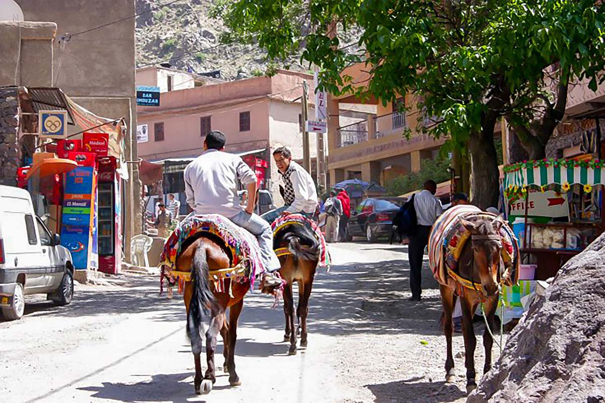 Mules in Imlil village, the starting point for treks to Mount Toubkal